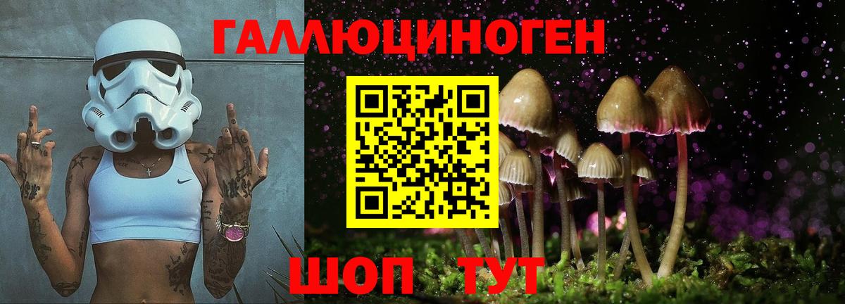 Псилоцибиновые грибы MAGIC MUSHROOMS  Вход с VPN  Карпинск 